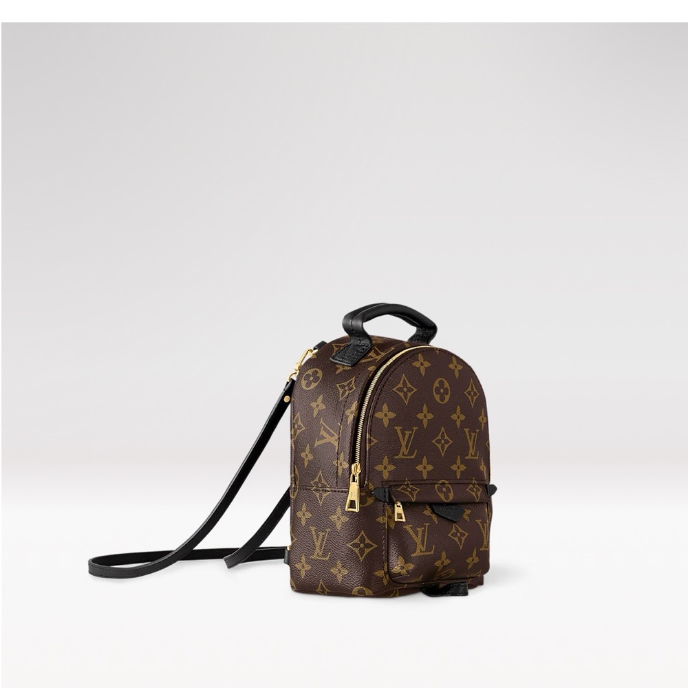 Louis Vuitton Palm Springs Mini